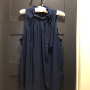 Navy Tie Neck Ann Taylor Blouse